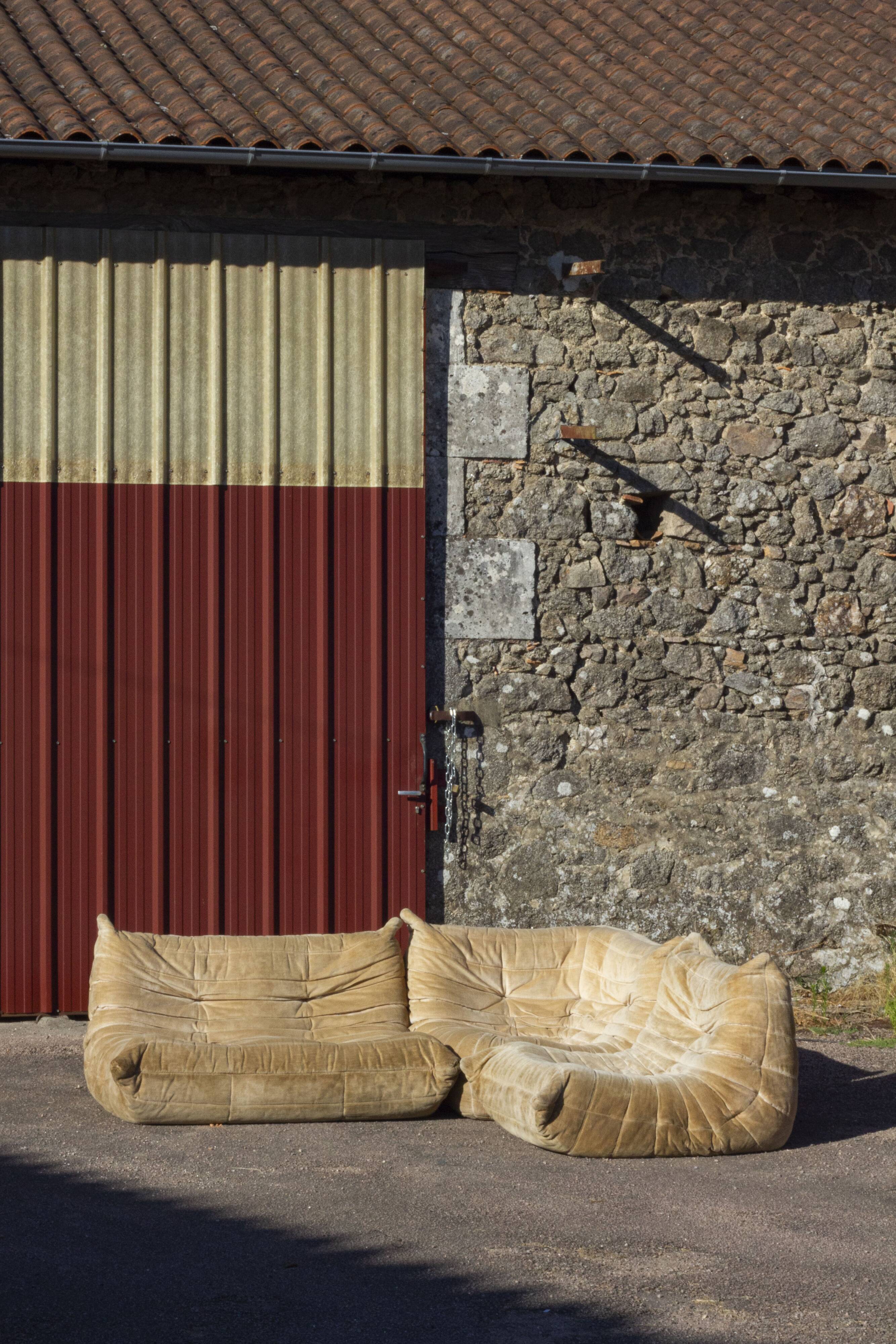 Canapé Togo 4 places en velours beige par Michel Ducaroy, Ligne Roset, 1973