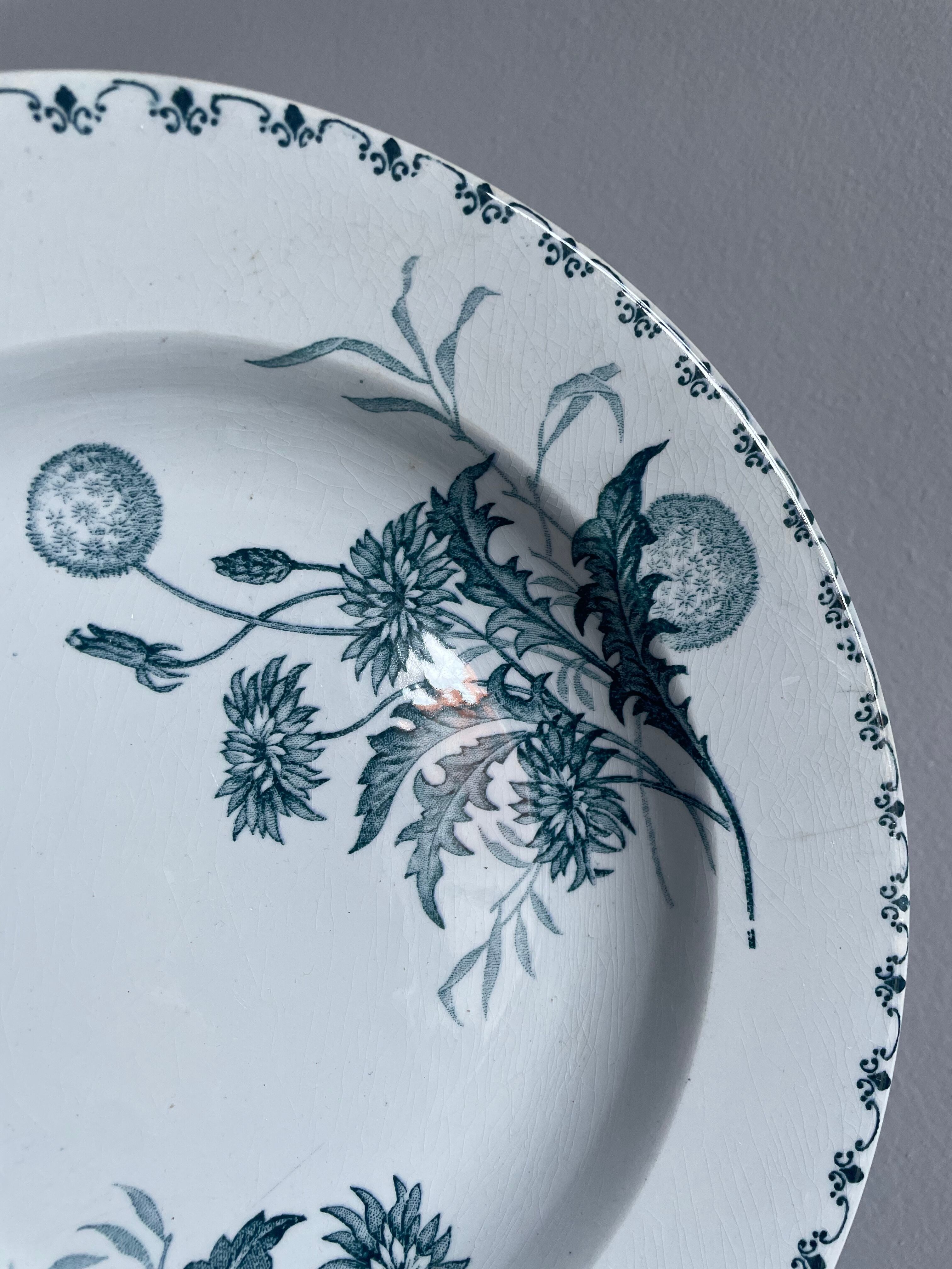 Set of 10 hollow plates Terre de Fer XIXth, model Madrid