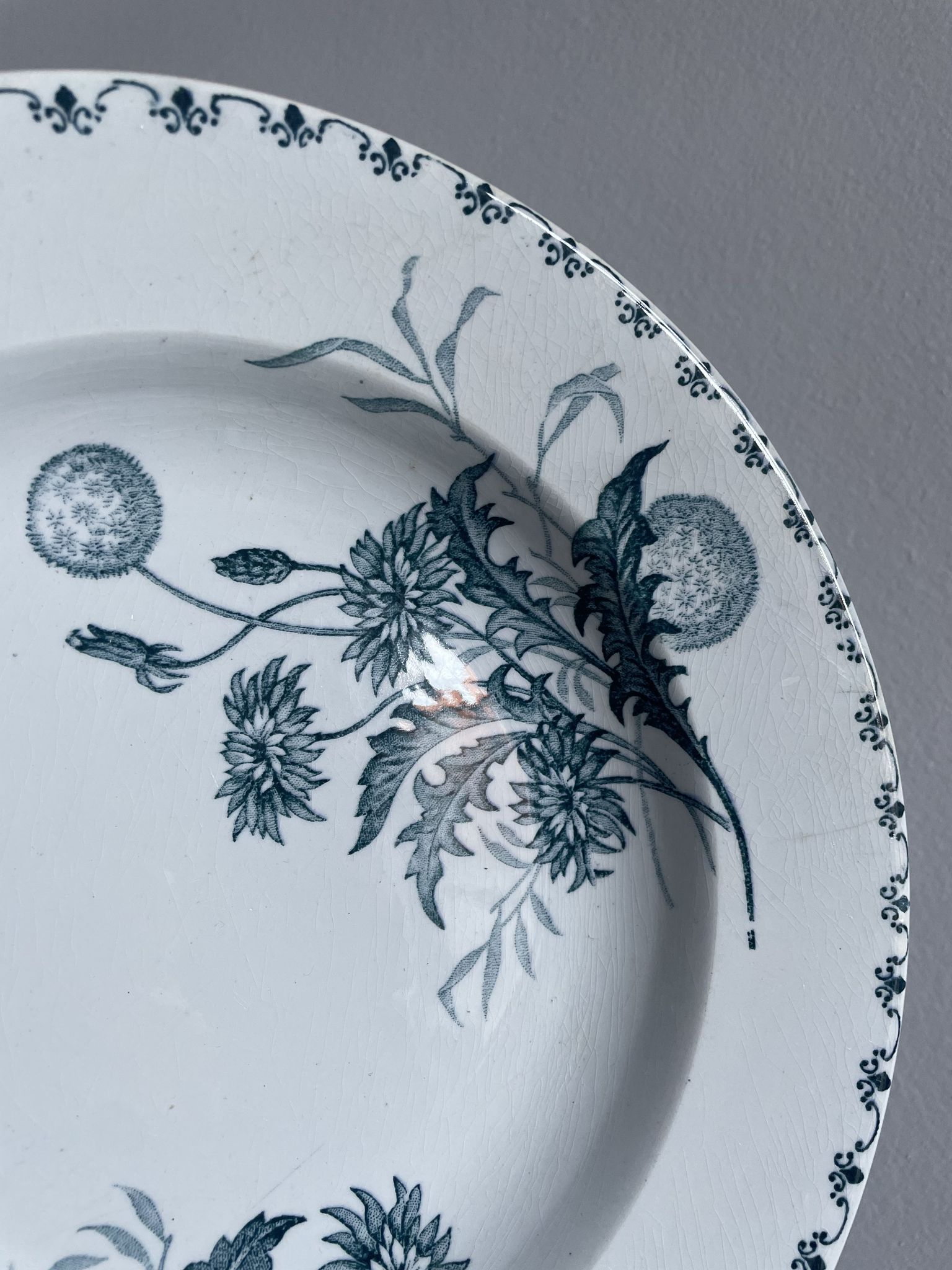 Set of 10 hollow plates Terre de Fer XIXth, model Madrid
