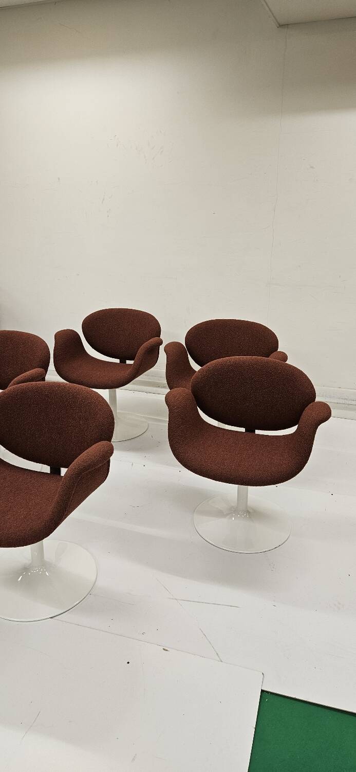 Ensemble de chaises Pierre Paulin Little Tulip par Artifort