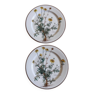 Duo of Villeroy& Boch “Botanica” dinner plates