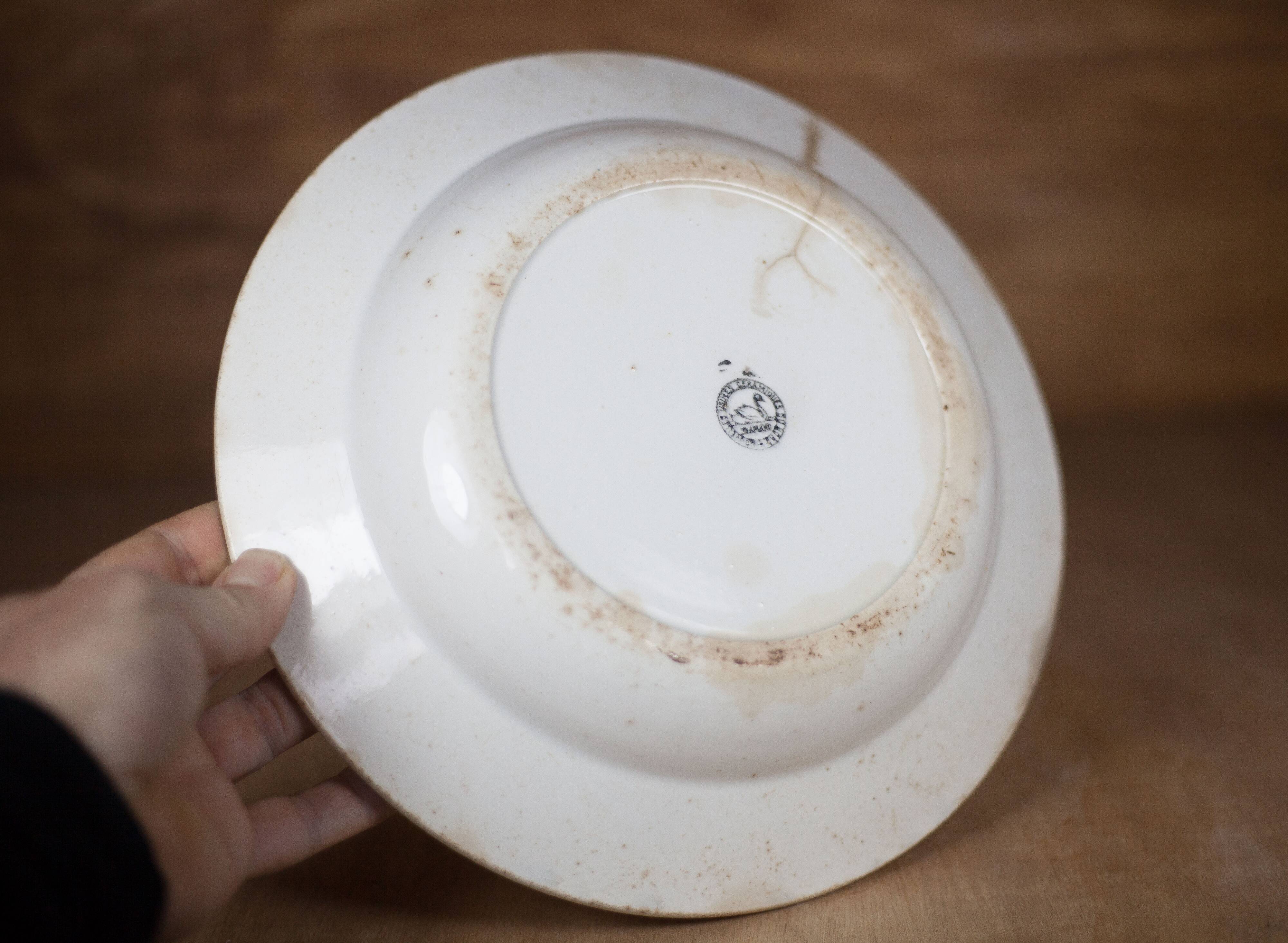 Ceramic dish, St Amand porcelain dish, hand painted plate, tableware