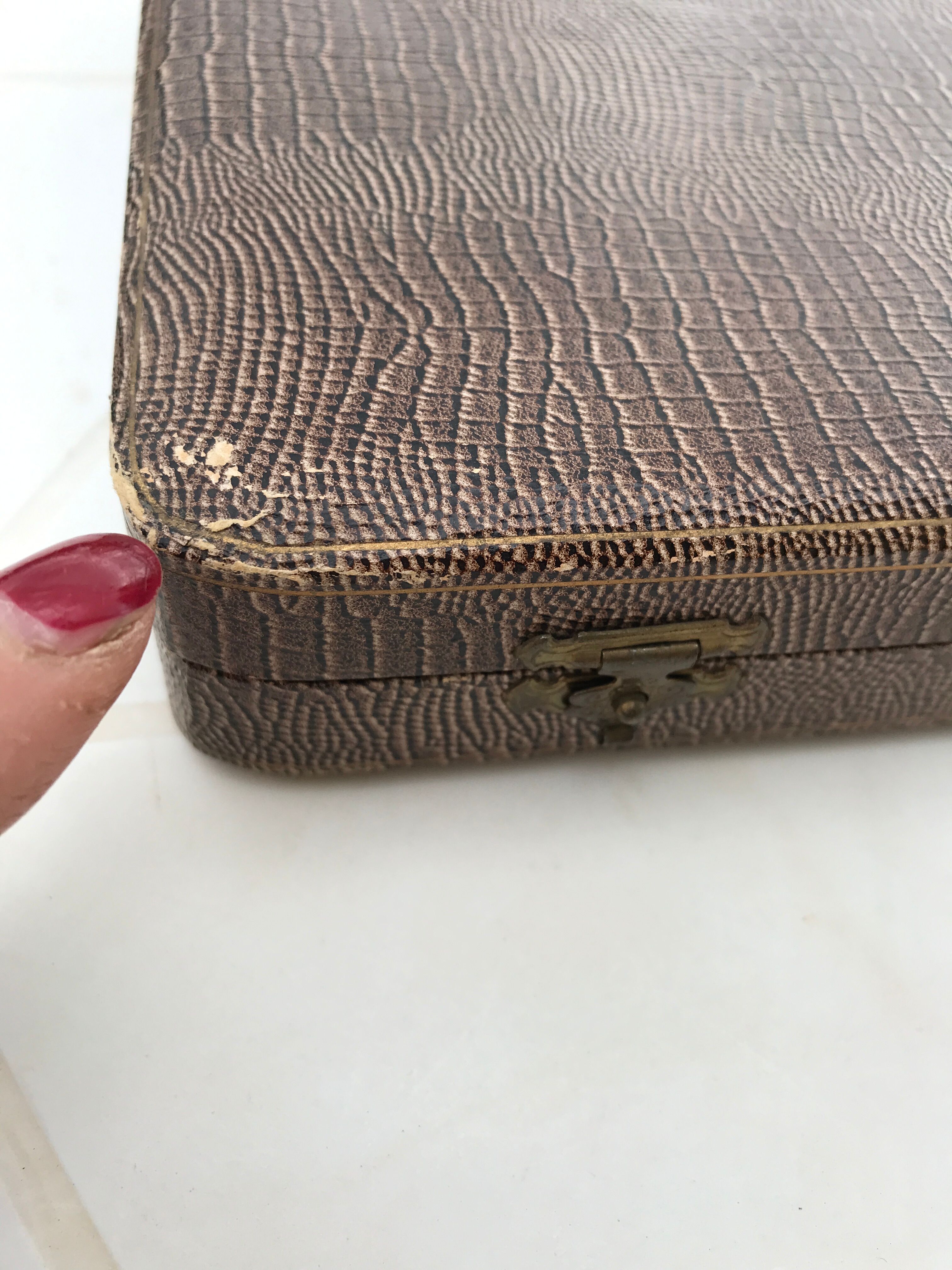 Vintage Pollinox cake service