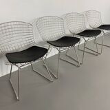 Lot of 4 chairs of Harry Bertoia edited by Knoll