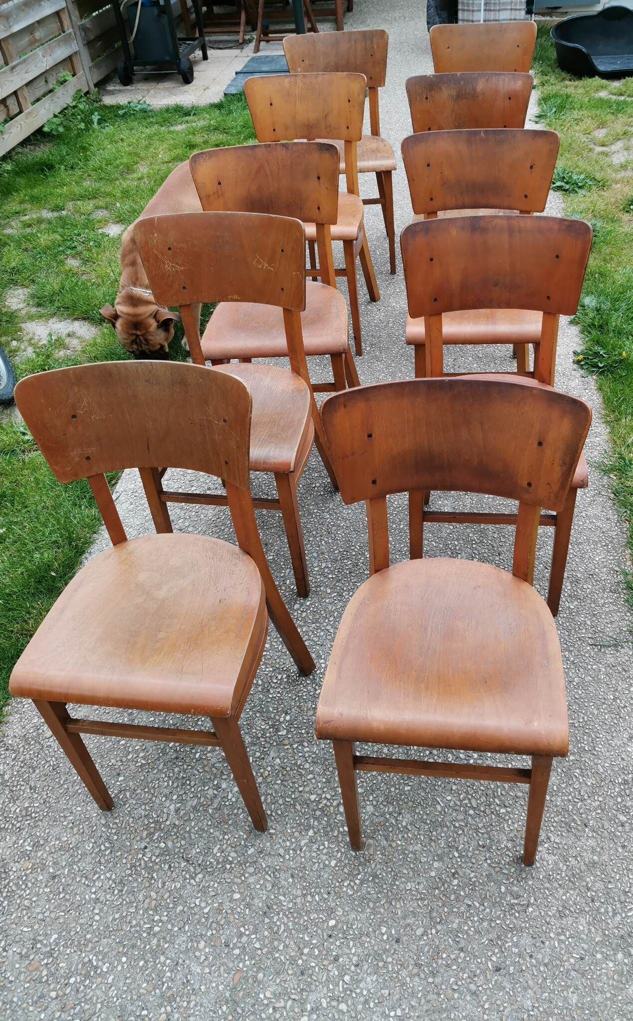 Set of 10 Thonet bistro chairs
