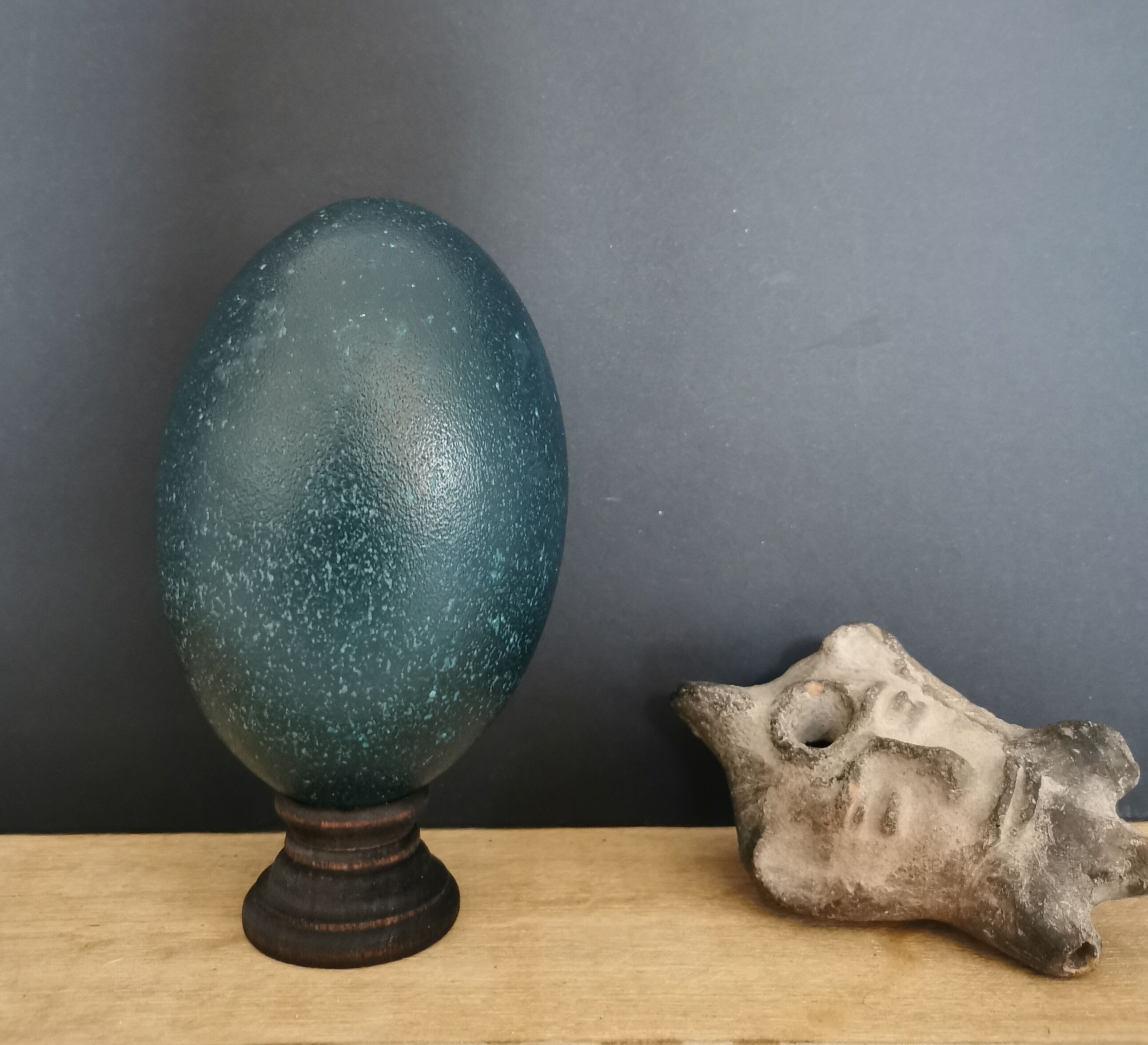 Emu egg naturally green / blue on dark wood bases