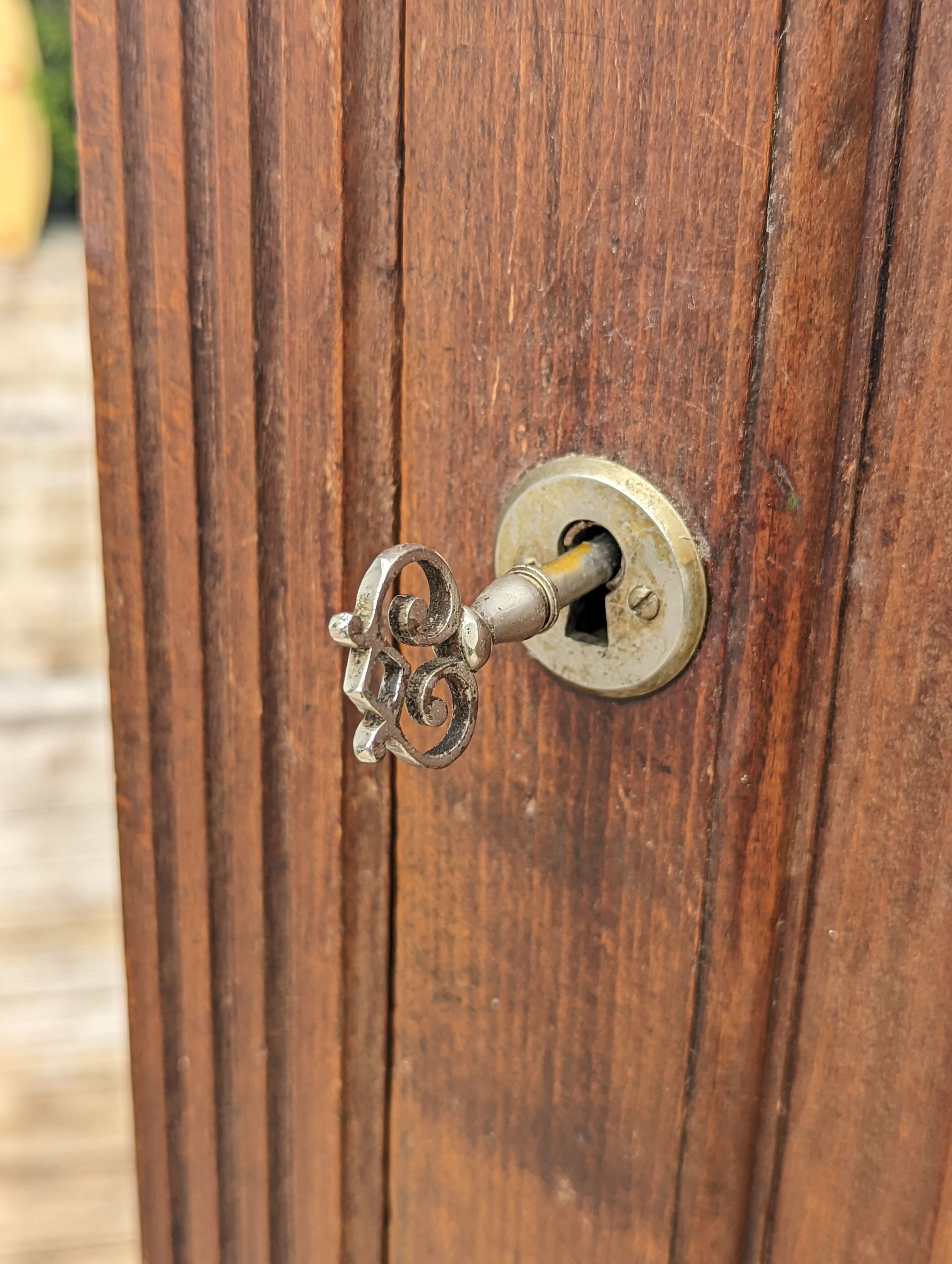 Parisian wardrobe 1 vintage door