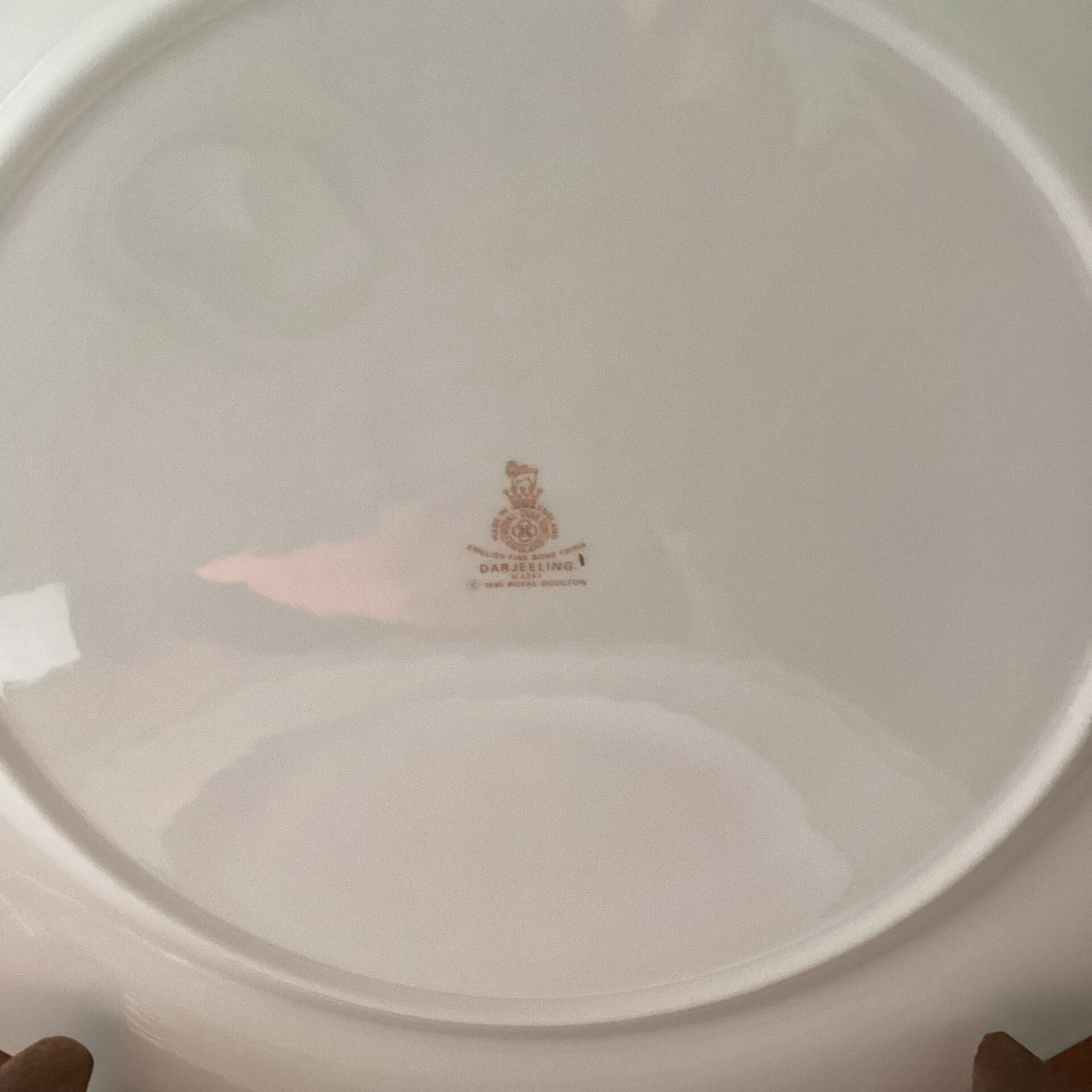 Large fine porcelain plates Royal Doulton Darjeeling