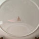 Large fine porcelain plates Royal Doulton Darjeeling