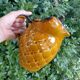 Carafe Mireille