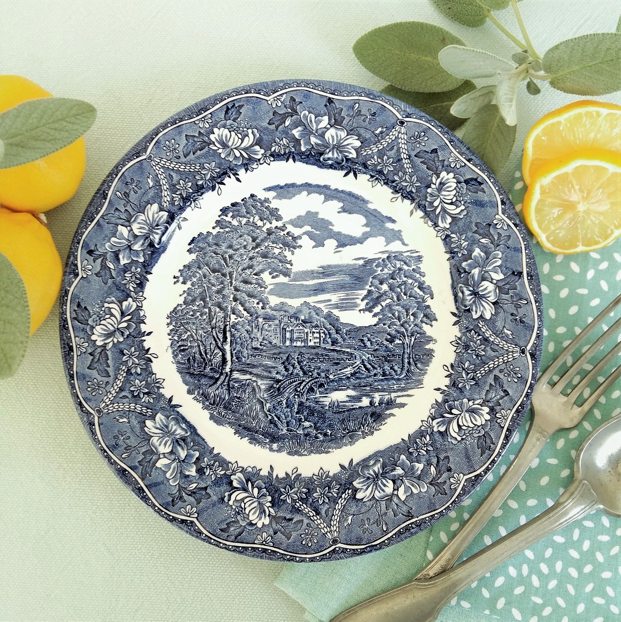 Lot de 6 assiettes de transfert