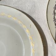 6 opaque porcelain dinner plates, Digoin model "Suzy"