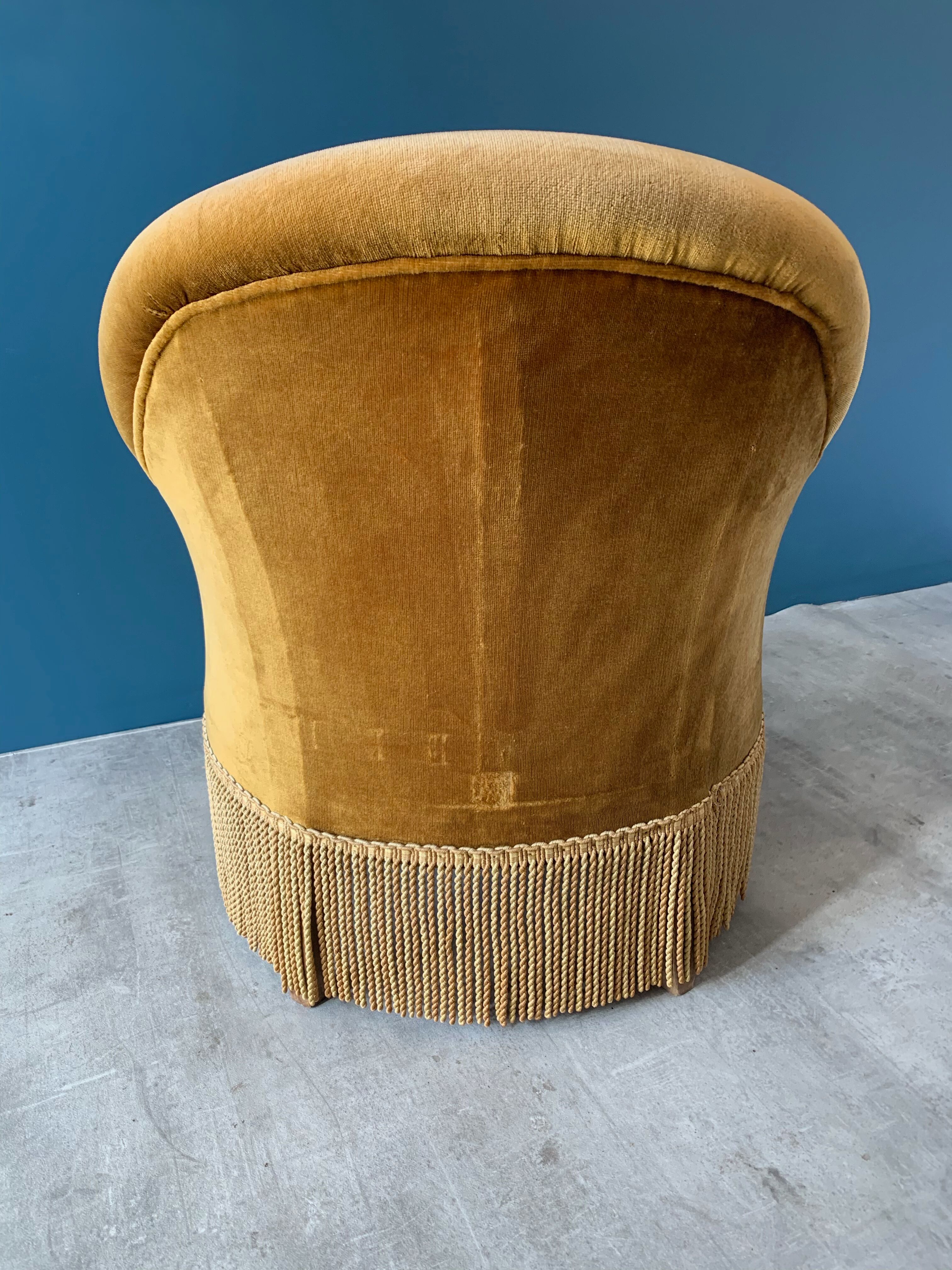 Old velvet toad old gold