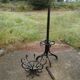 Parrot coat holder in curved wood - Art Nouveau