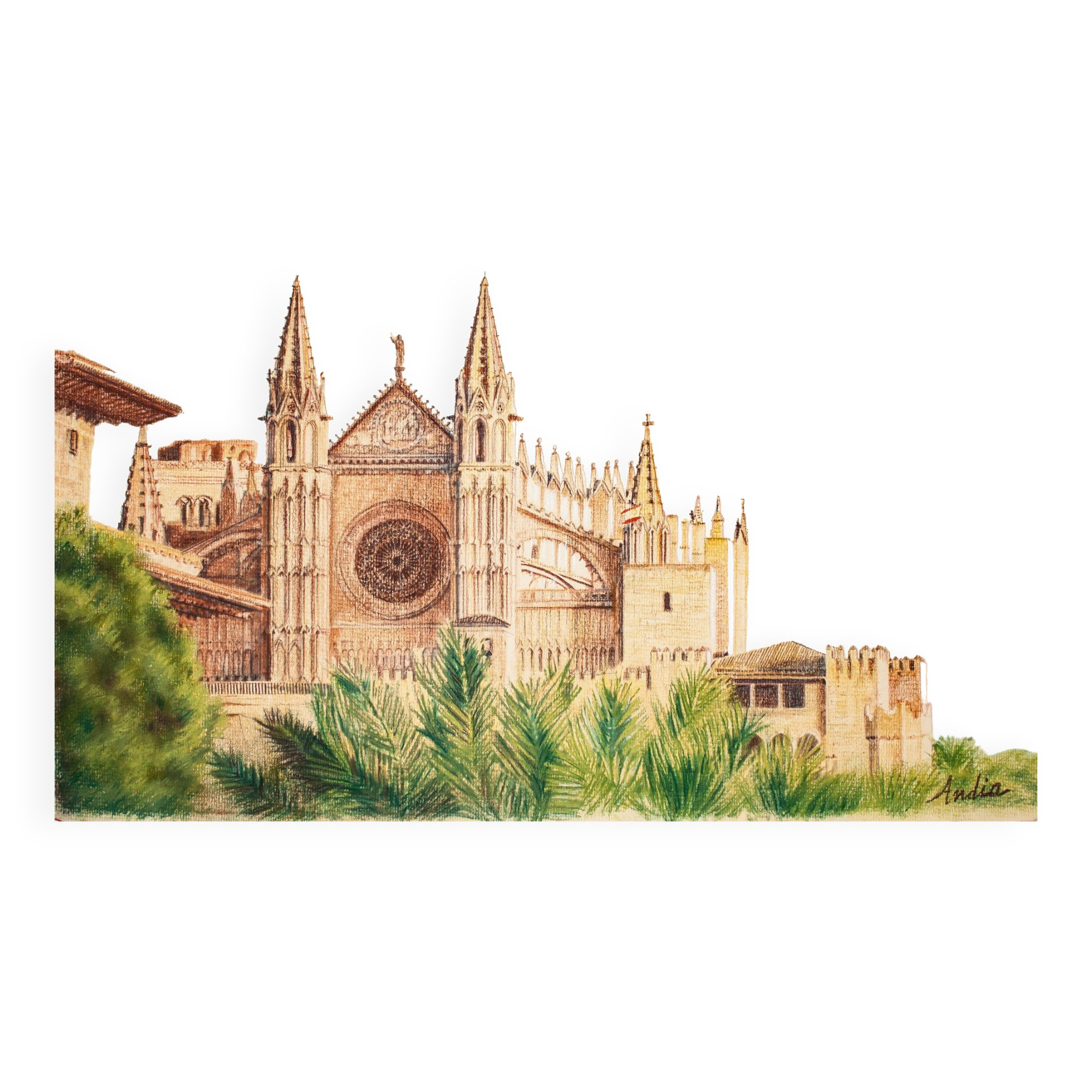 Dibujo de la catedral de mallorca. cuadro de mallorca. pintura mallorca. mallorca pintura.