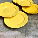 12 yellow earthenware dinner plates