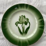 6 flat plates tulip pattern, longwy. Art deco