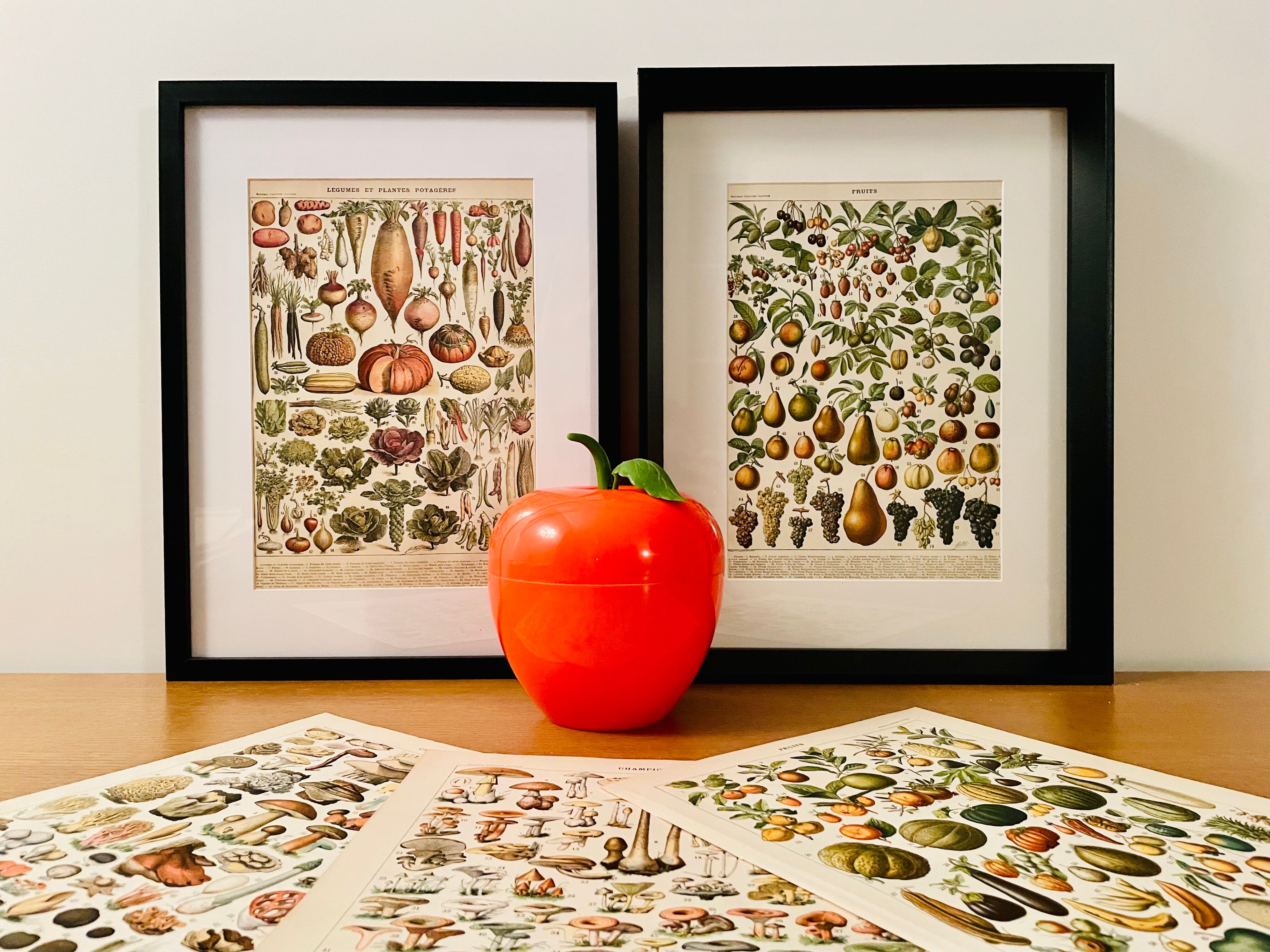 Lithograph engraving on vegetables and vegetable plants from 1897