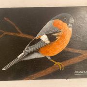 Bird painting on wood