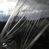 Lot de 6 verres à orangeade en cristal de daum france. modèle sorcy gravé.