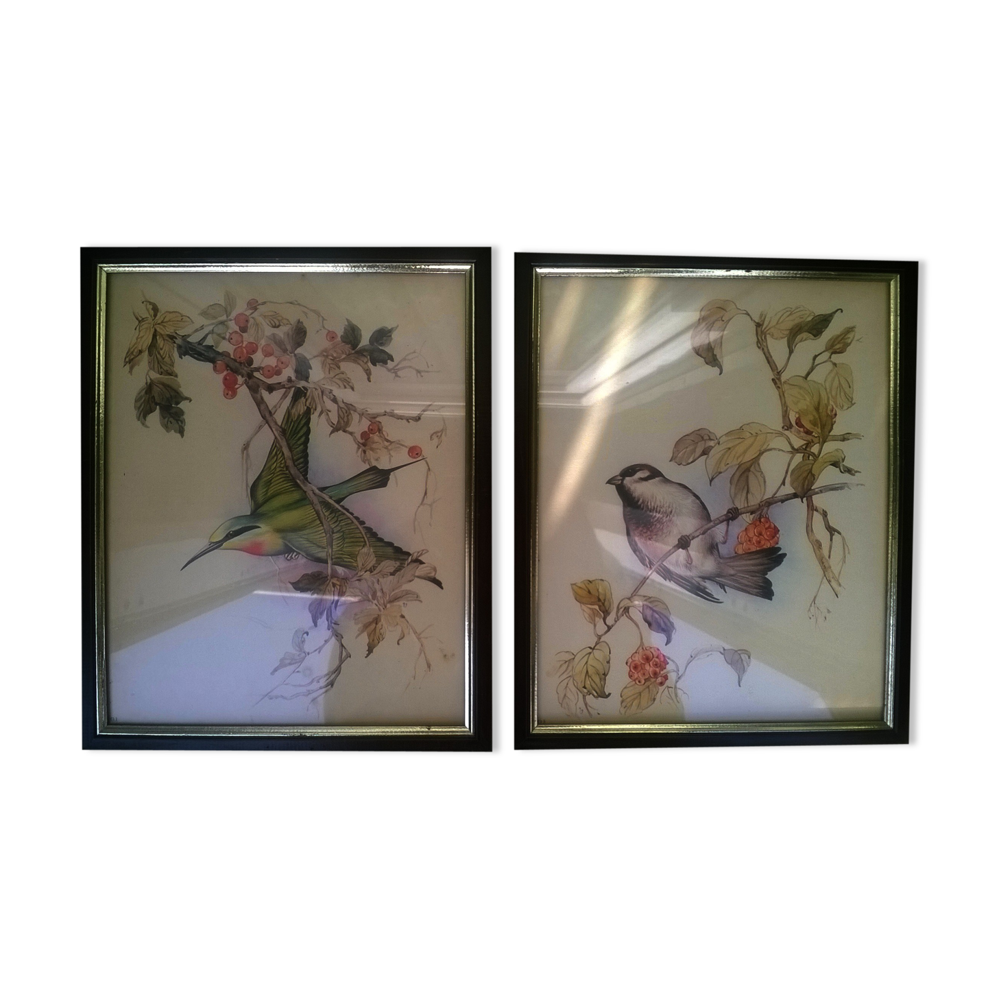 Paire de gravures "aux oiseaux"