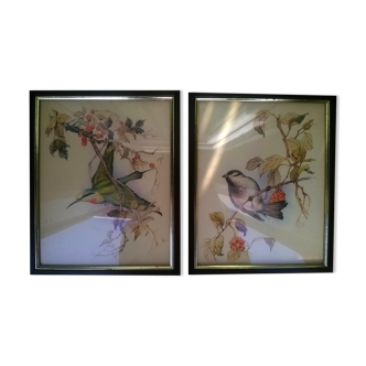 Paire de gravures "aux oiseaux"