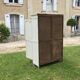 Old patinated cabinet