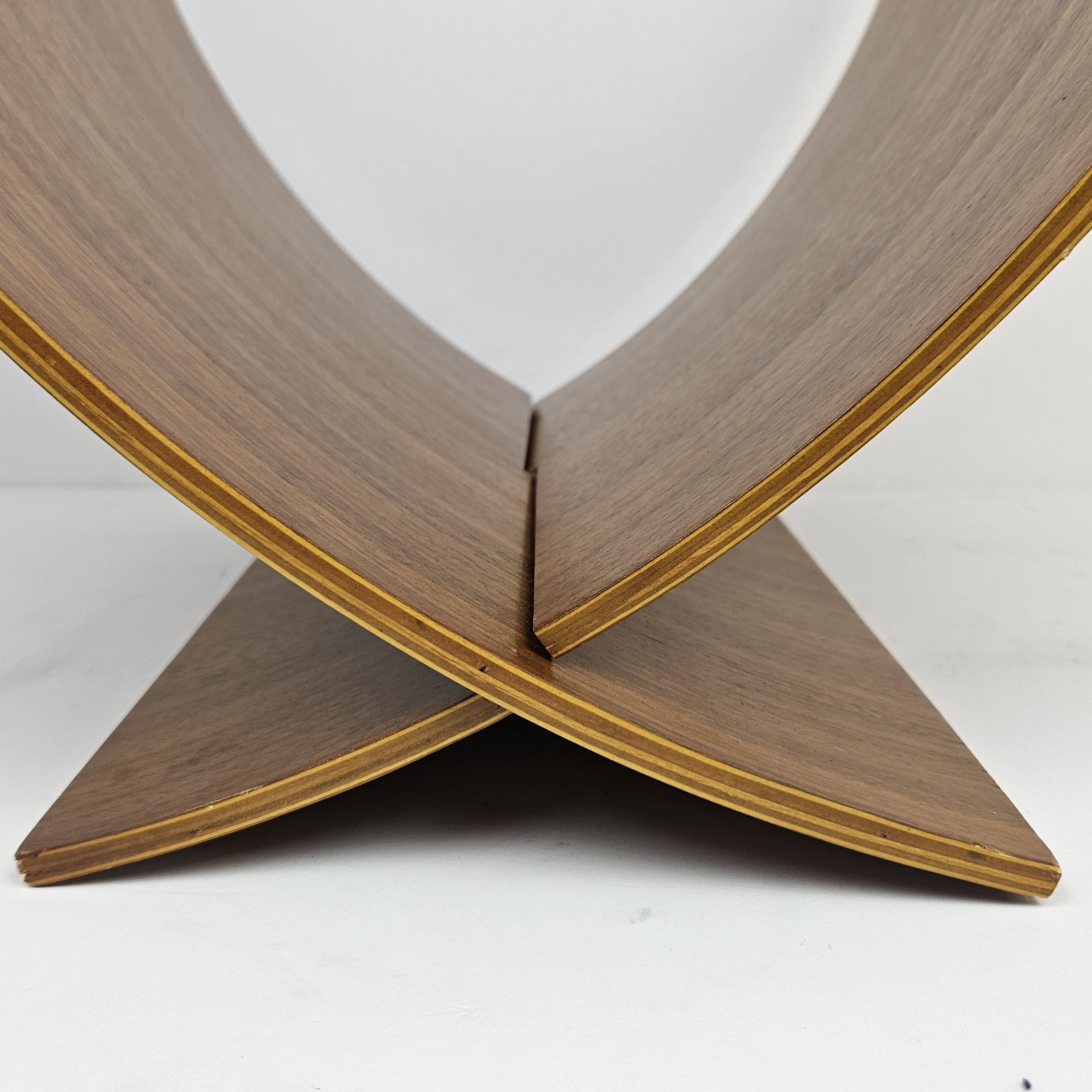 Scandinavian Magazine Rack in Teak Veneered Plywood, 1970's