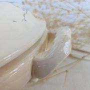 Soupière ancienne Gien Iris Terre de Fer