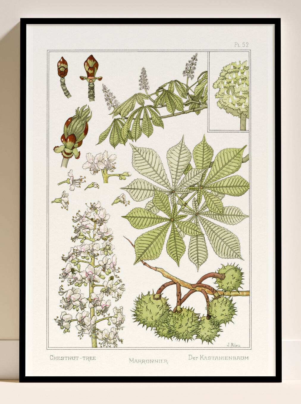 Poster “Chestnut Tree”, after an Art Nouveau lithograph from 1897