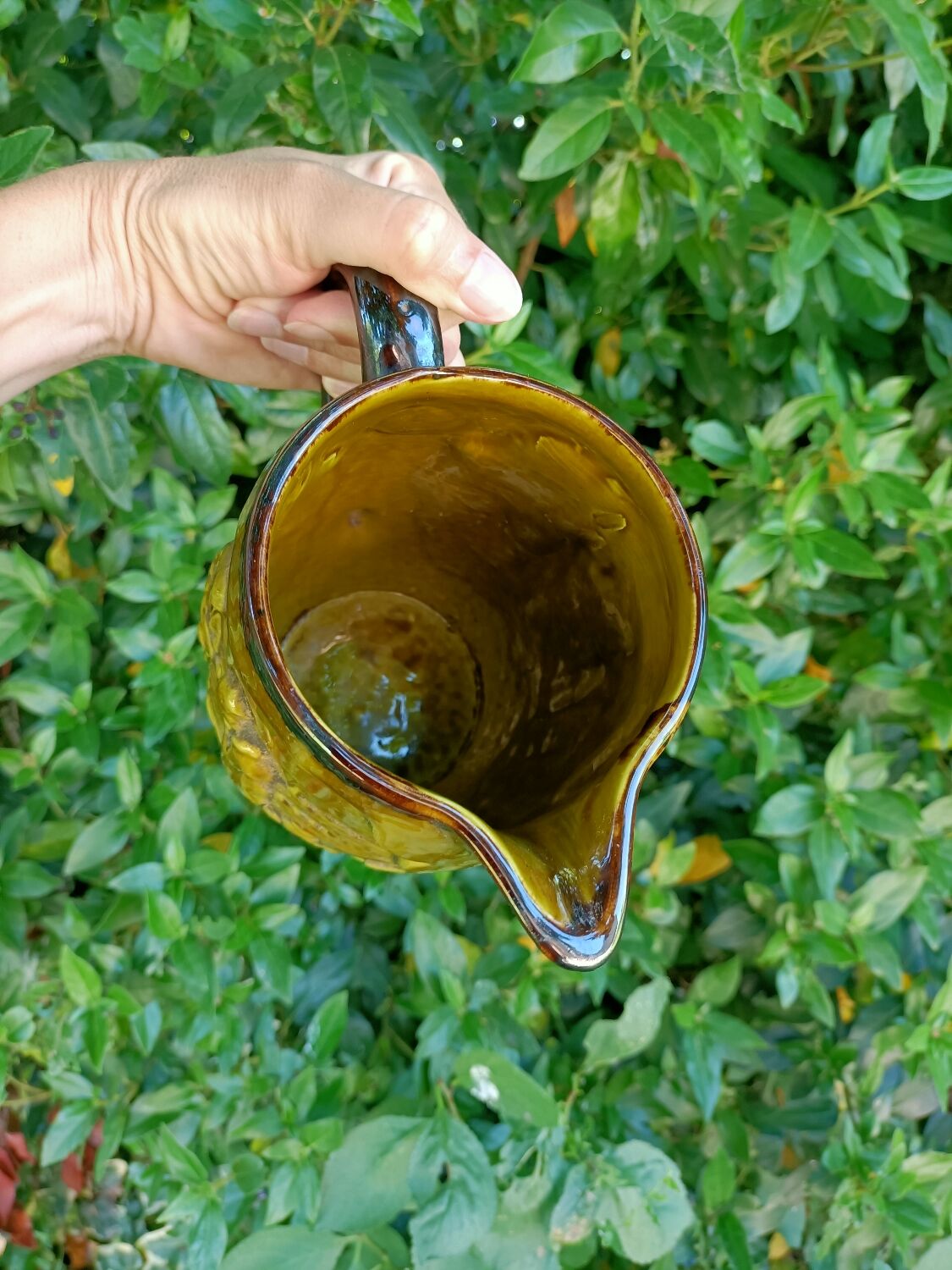 PL France Angélus retro pitcher