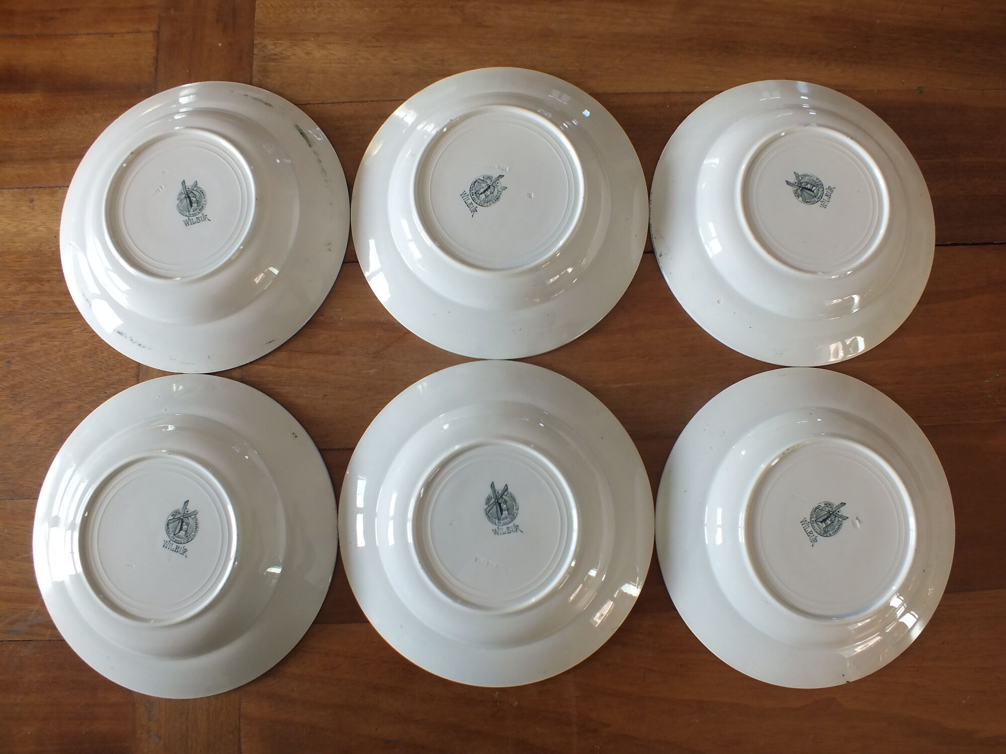 6 Hollow plates in Iron Earth Moulin des Loups model Wilbur Lot 1