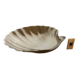Empty baguier shell scallop pocket H