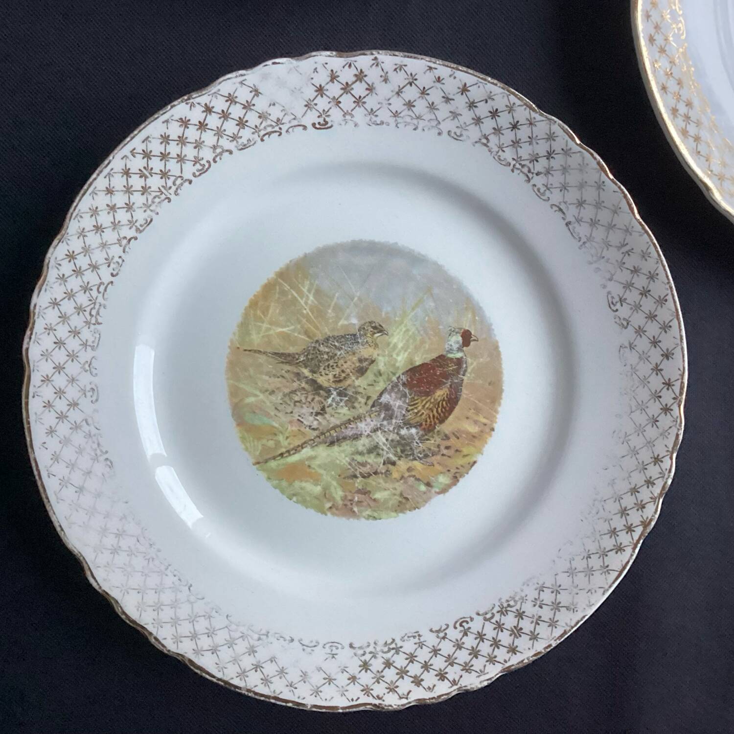 Set of 5 Moulin des Loups flat plates