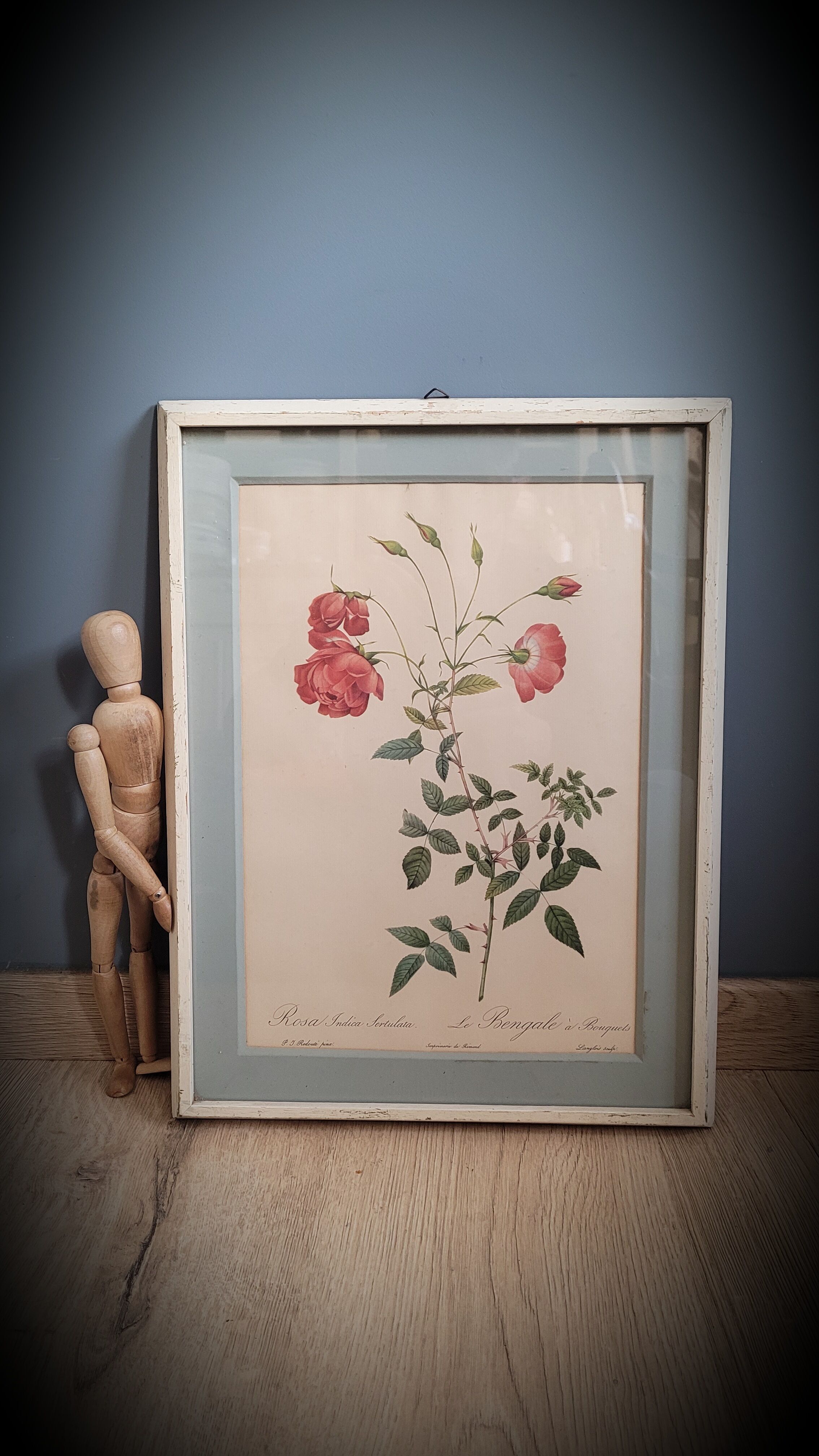 Authentic and ancient lithograph of Redouté representing a Bengal rose with bouquets (in a c