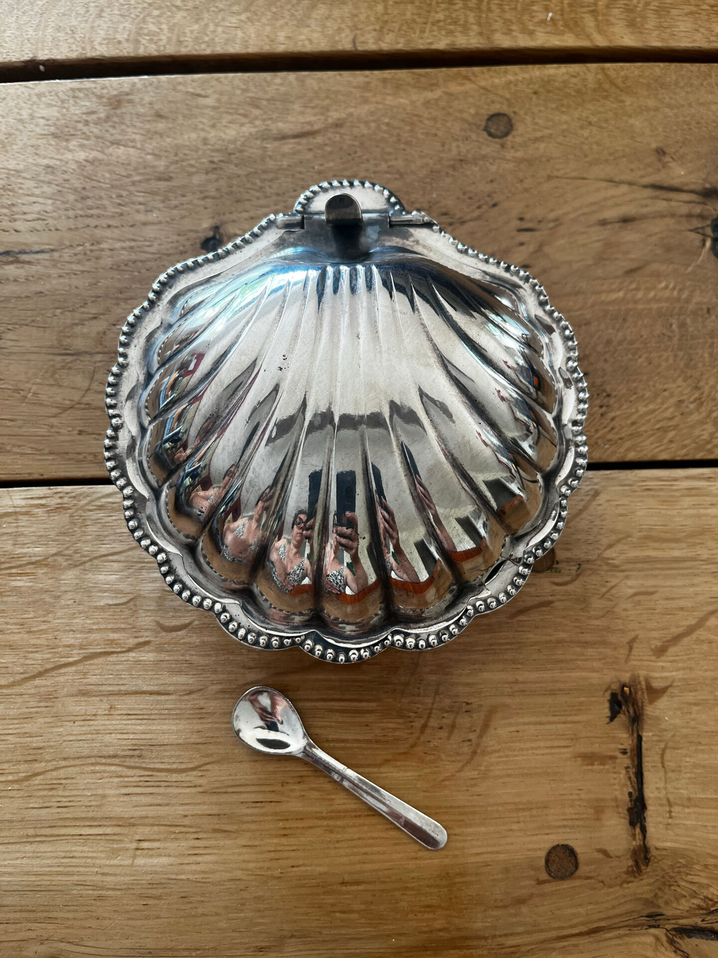 Shell butter dish