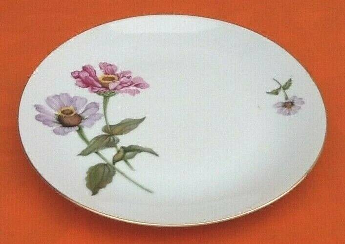 6 flat plates Fine Bohemian porcelain Floral decoration on a white background