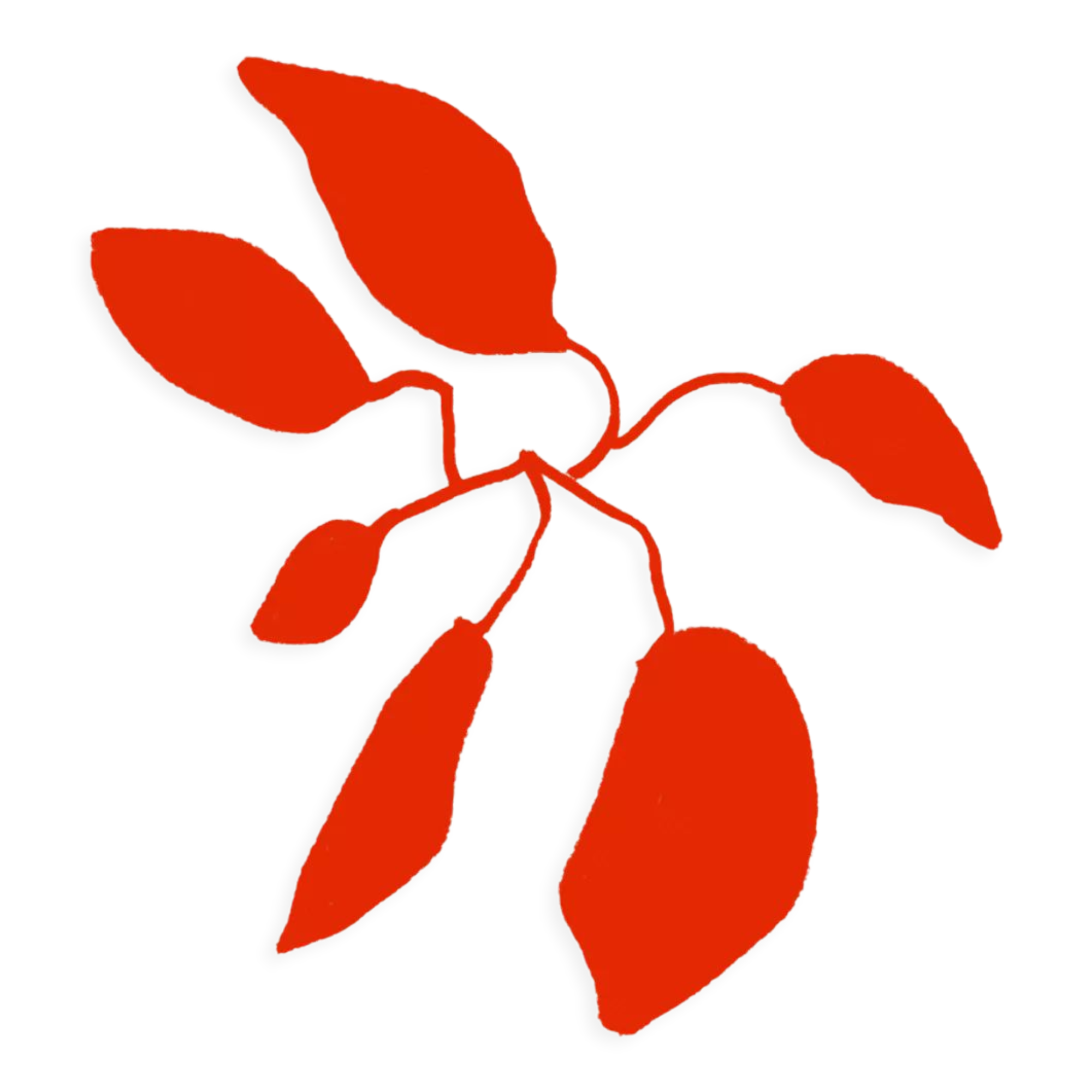 Botanical illustration giclee print