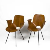 2 Vintage Medea Chairs by Vittorio Nobili (Price per Chair)