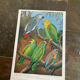 Poster "The Birds of the World" - 1969