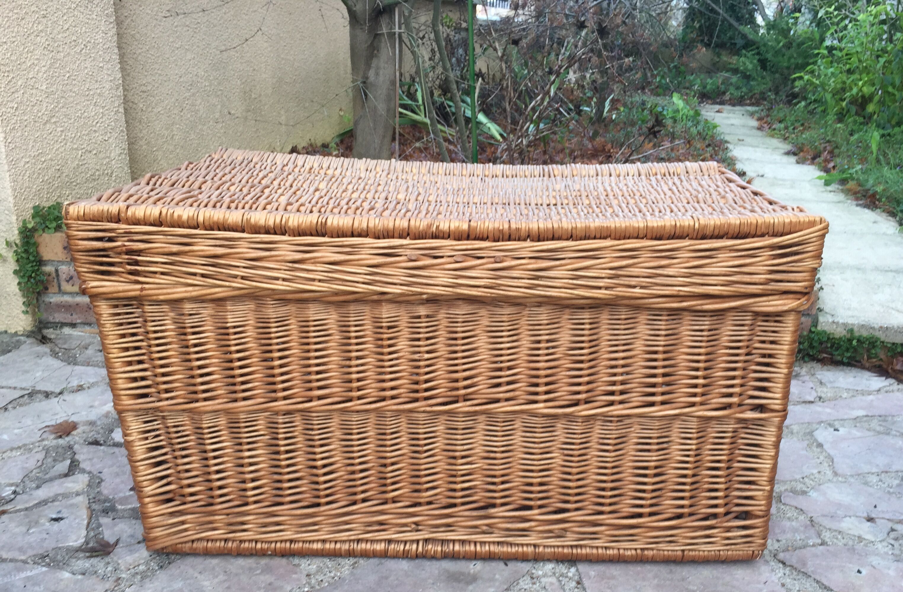 Wicker trunk