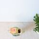 Parrot carafe in earthenware