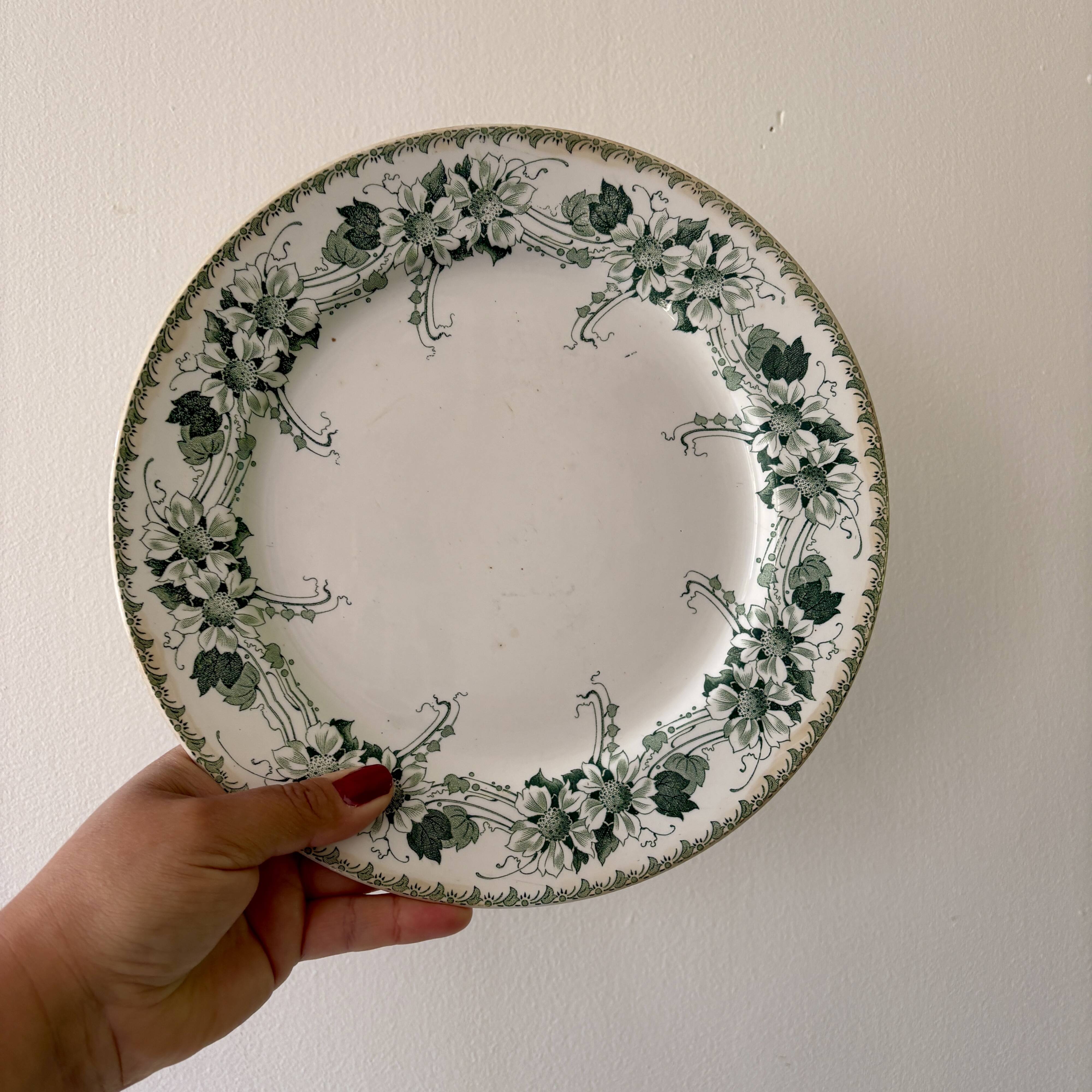 Lot de 10 assiettes plates anciennes en terre de fer dépareillées