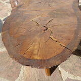 Elm tree trunk coffee table