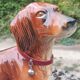 Large dachshund in German porcelain Cortendorf