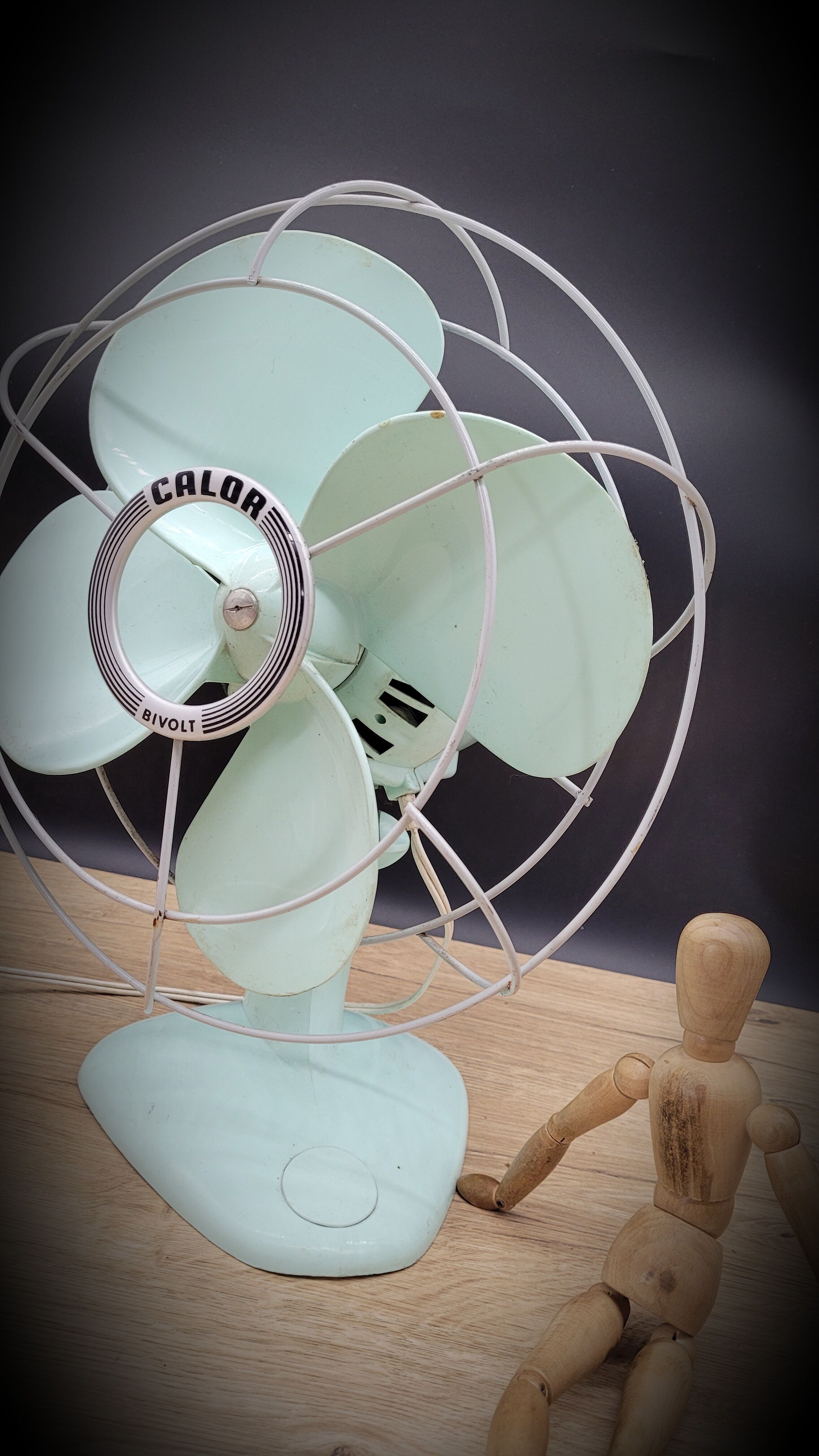 Pare-feu Ventilateur Années 1920 – Griffon Gargouille Paon En Laiton