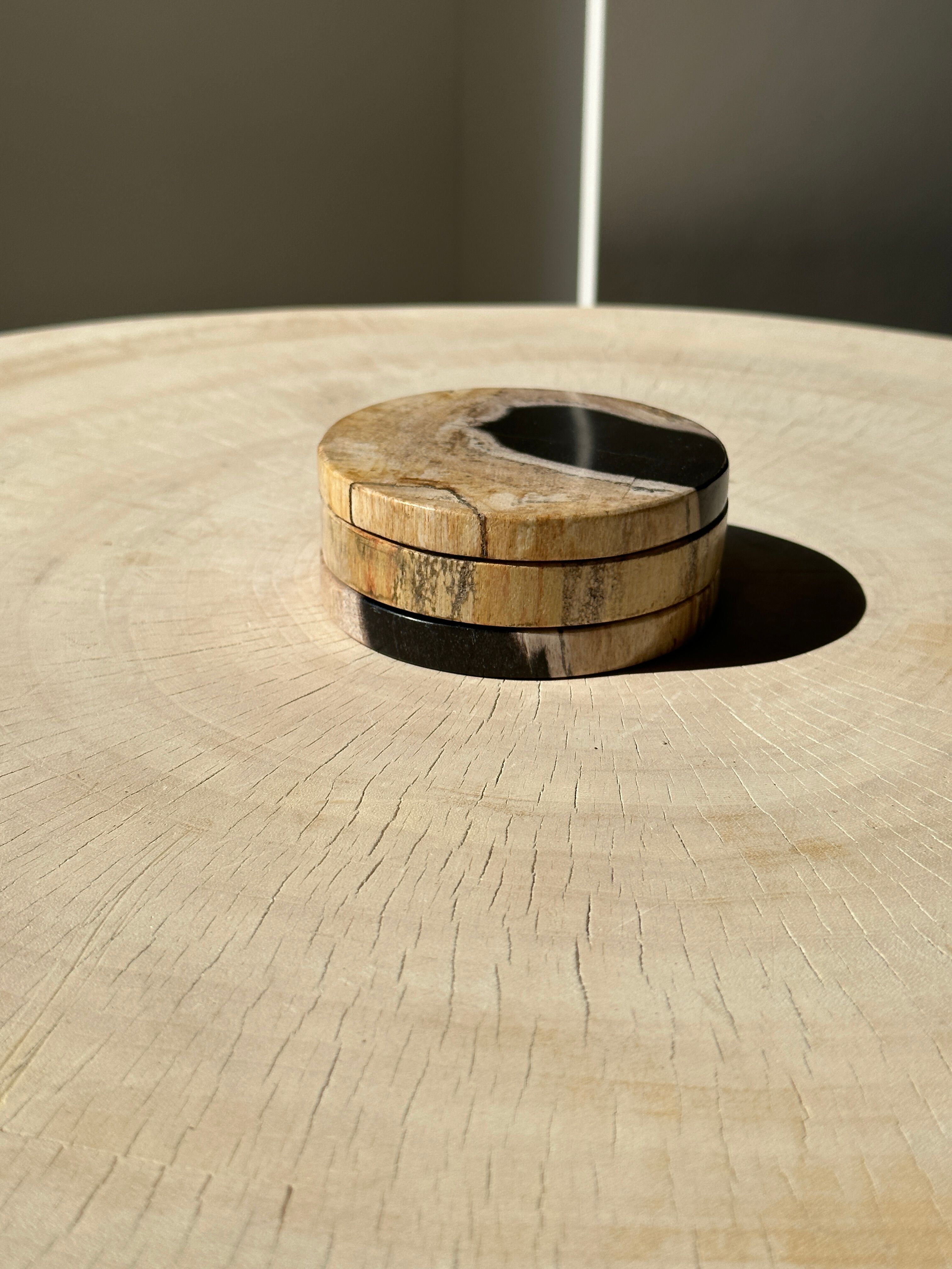 Set of 3 fossilized wooden coasters (clear)