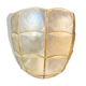 Applique nacre et laiton