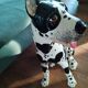 Italian ceramic dog 1960s