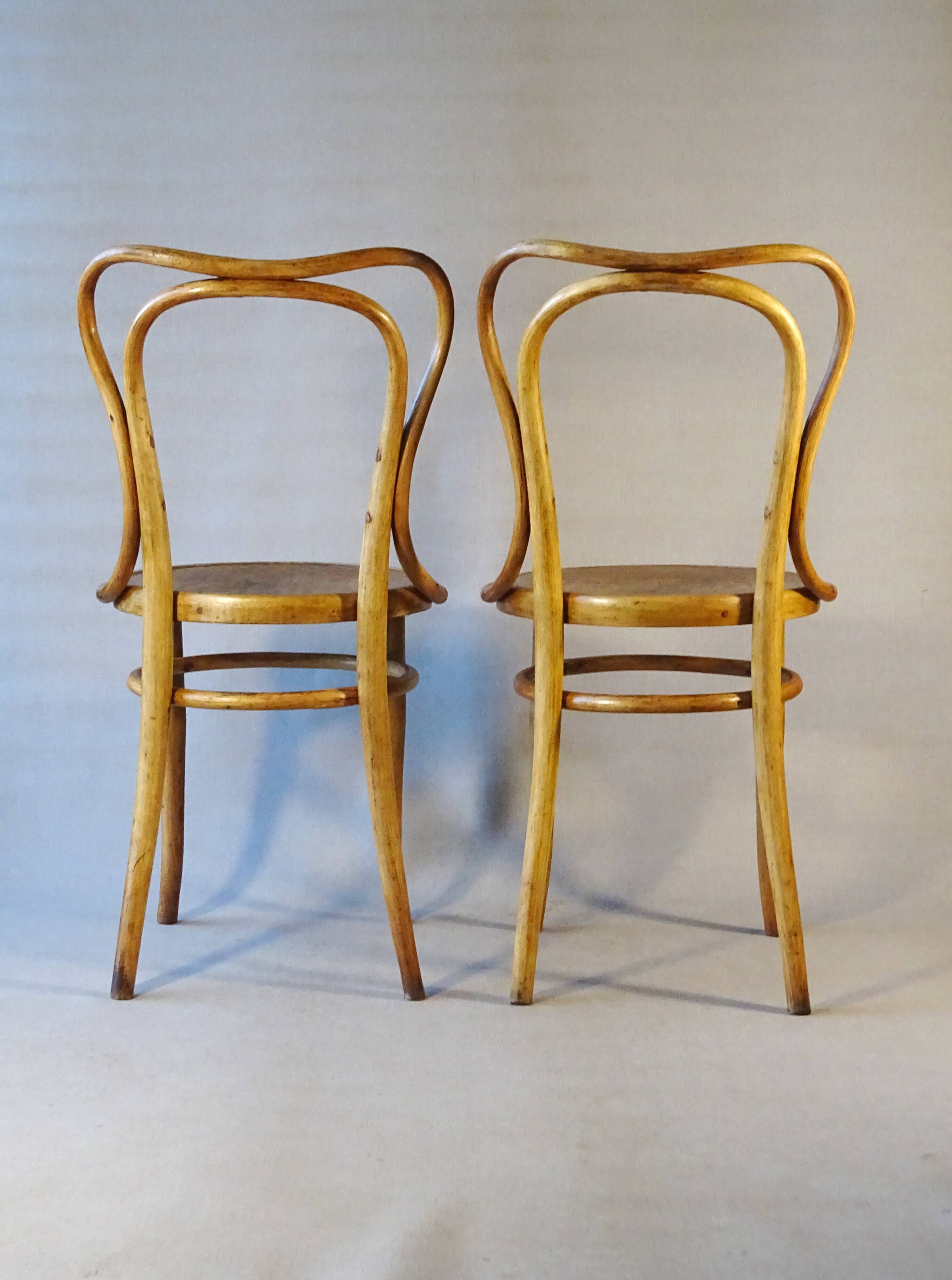 Two Kohn bistro chairs no. 55, circa 1910, not Thonet.